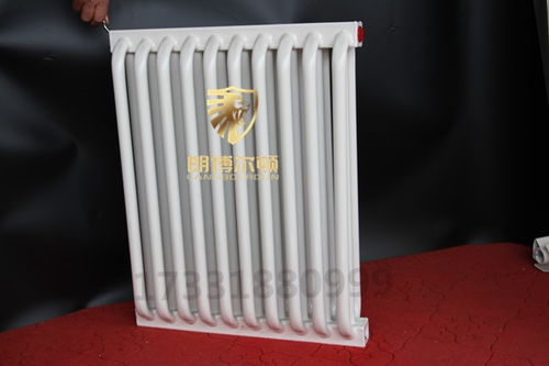 衡水ngwg i 300钢制弧管散热器品牌排行