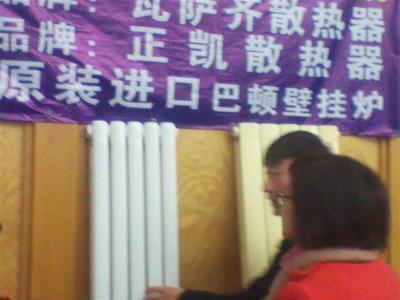 巢湖市巴顿壁挂炉价格_巢湖市巴顿壁挂炉_英国爱莱德热能(巴顿挂壁炉)